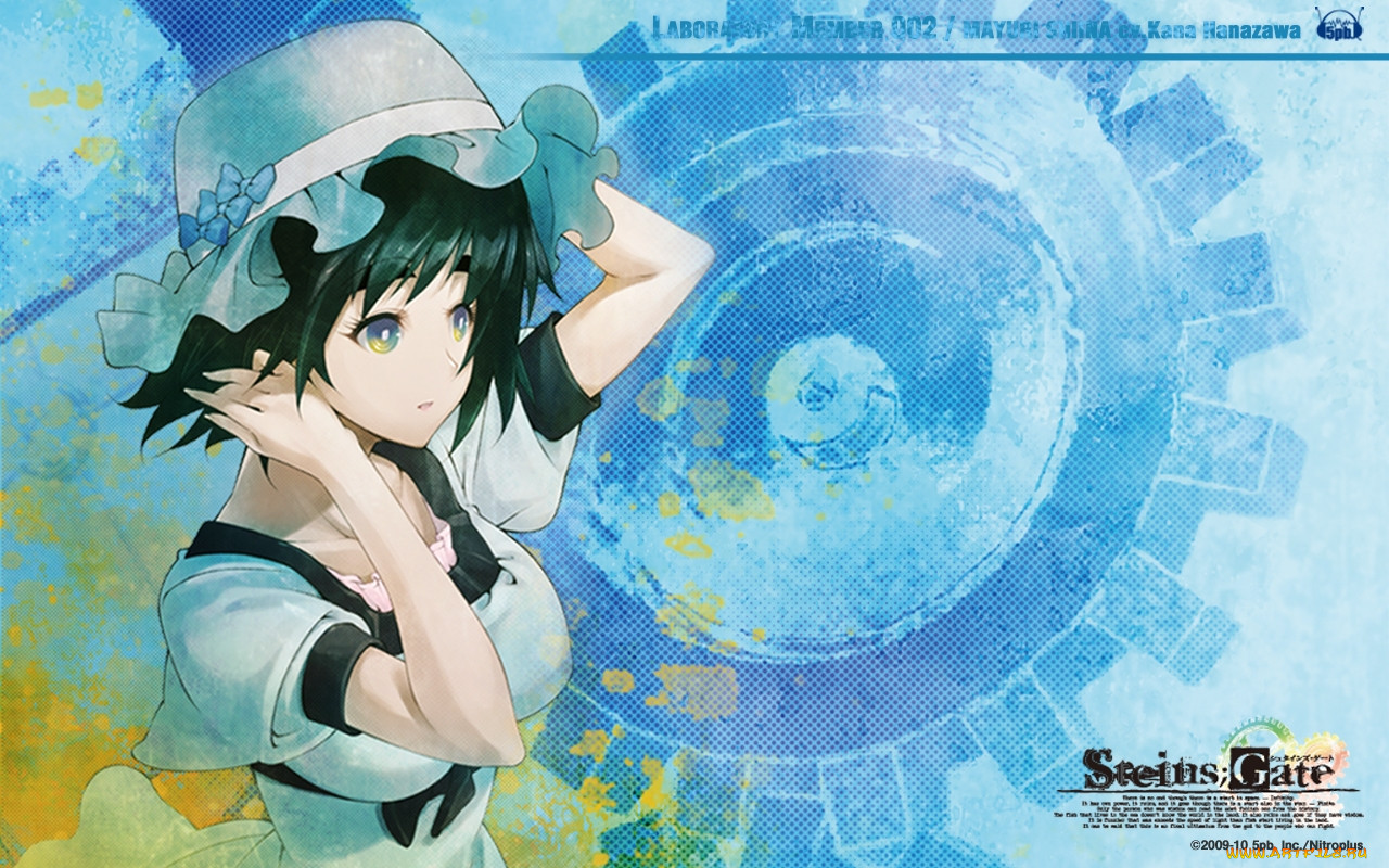 , steins, gate